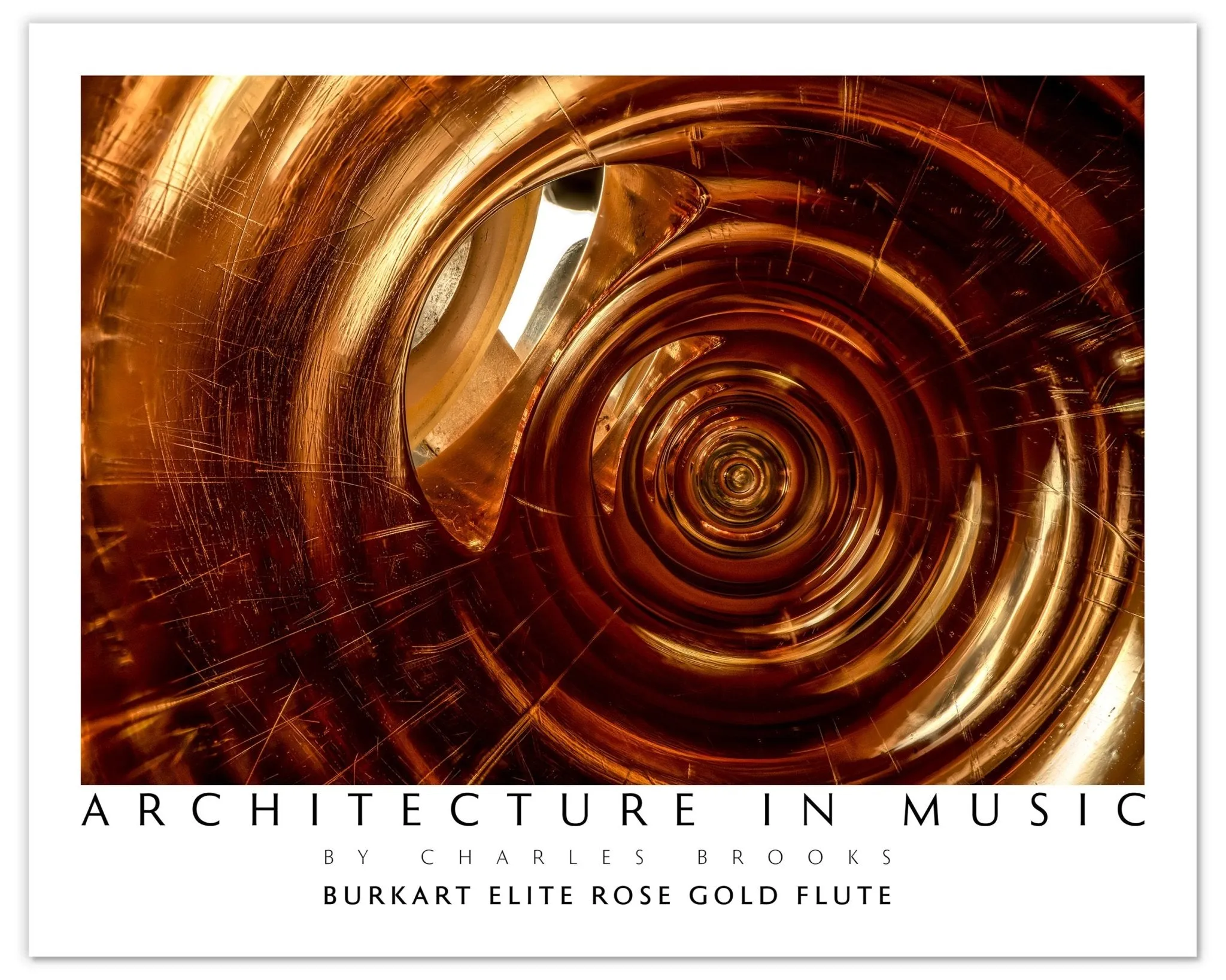 14k Burkart Elite Rose Gold Flute. Poster.