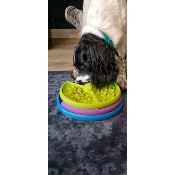 Anti-Choking 3-layers Dog Puzzle Feeder