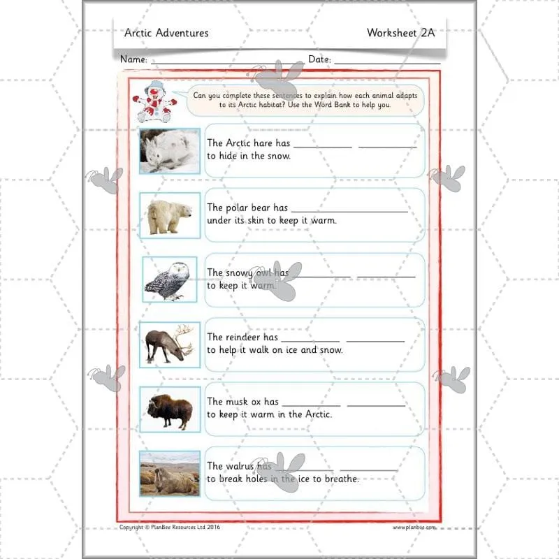 Arctic Adventures Topic