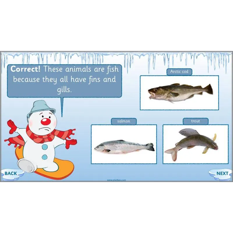 Arctic Adventures Topic