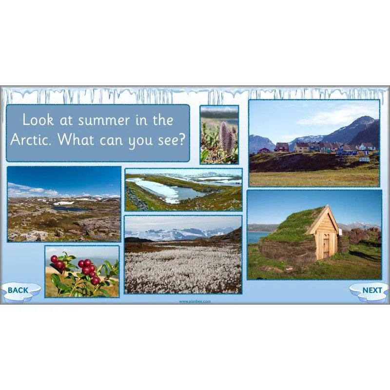 Arctic Adventures Topic
