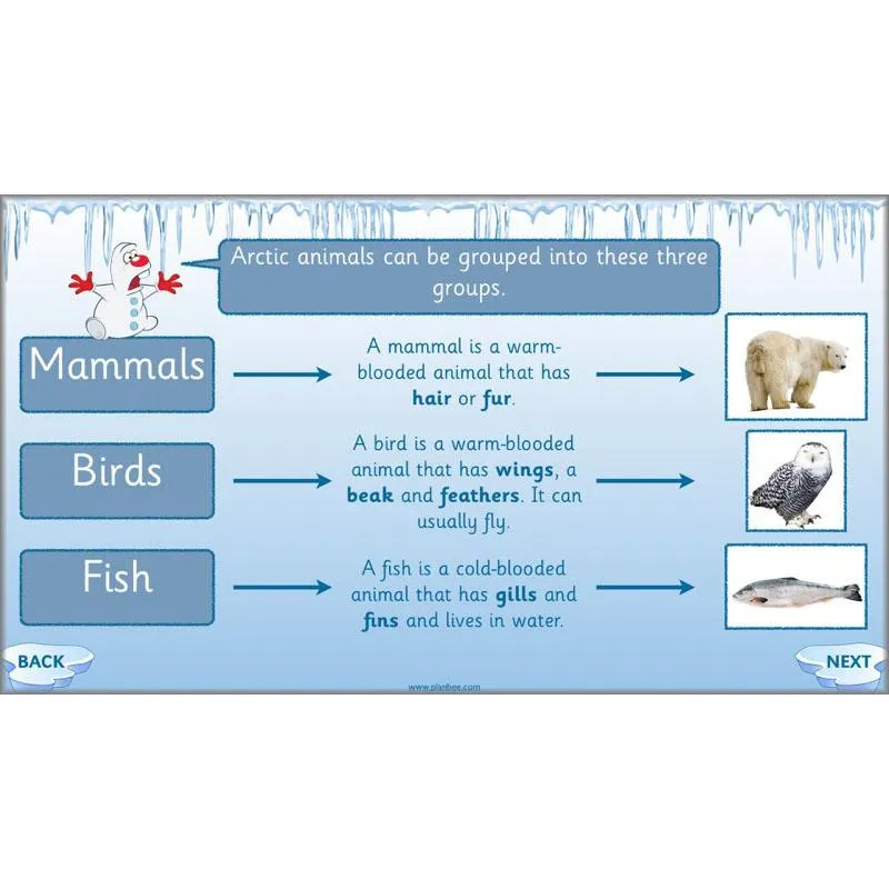 Arctic Adventures Topic