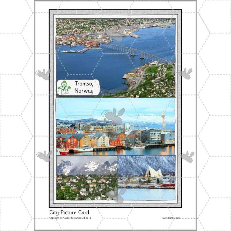 Arctic Adventures Topic