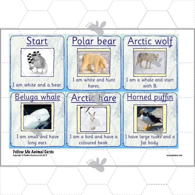 Arctic Adventures Topic