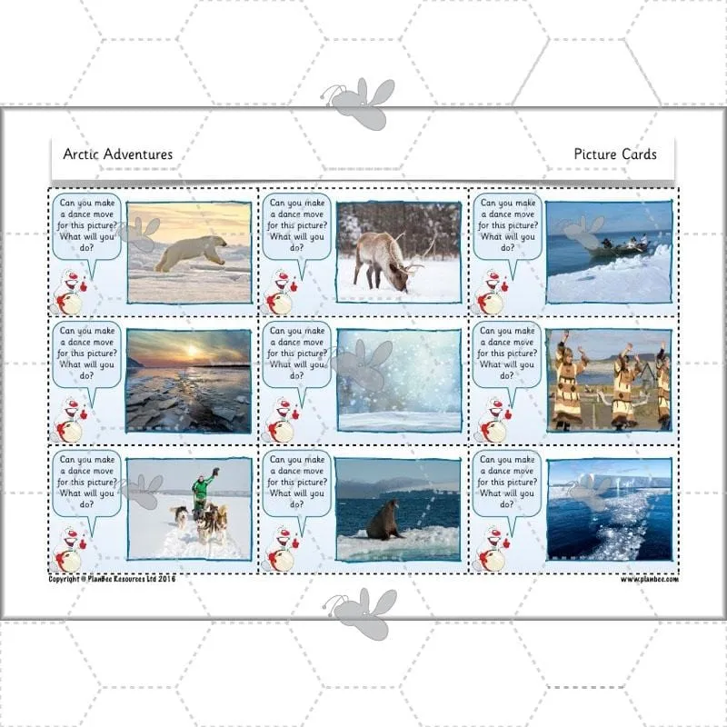 Arctic Adventures Topic
