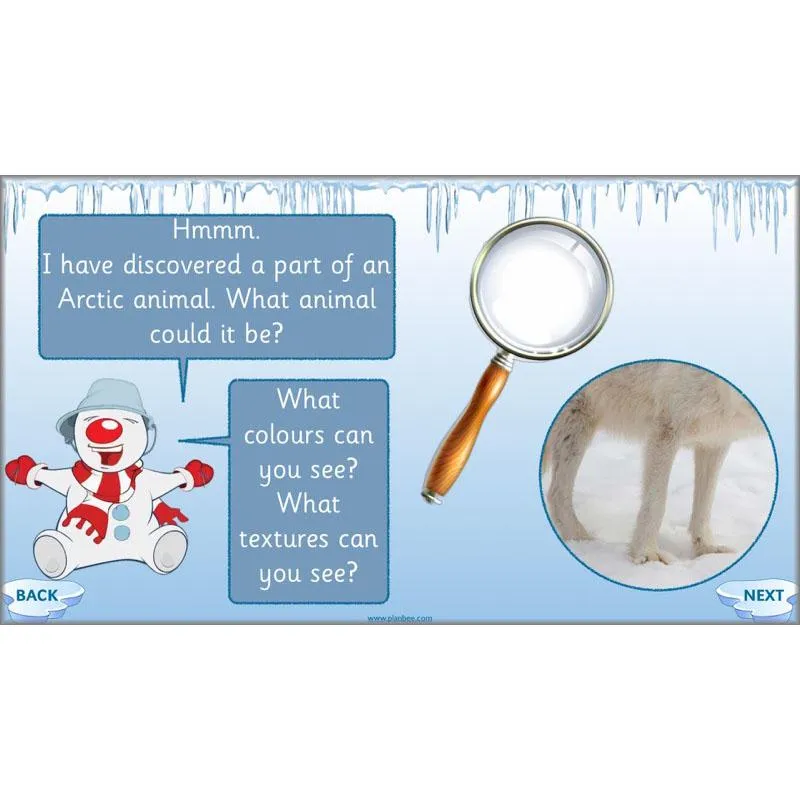 Arctic Adventures Topic