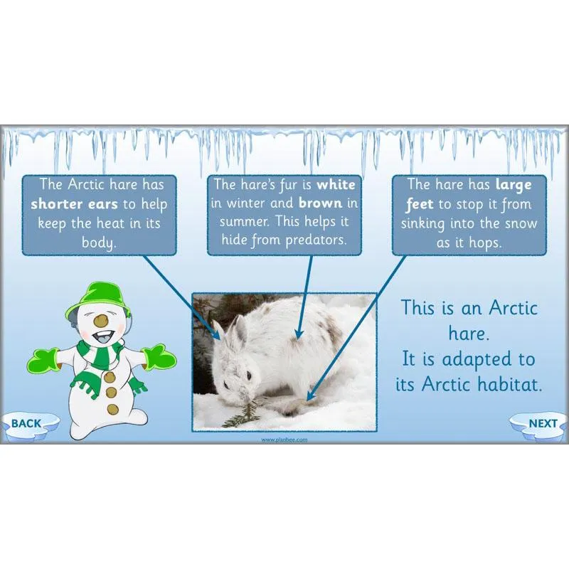 Arctic Adventures Topic