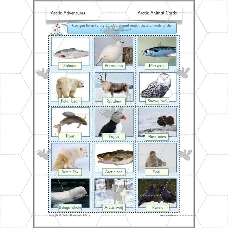 Arctic Adventures Topic