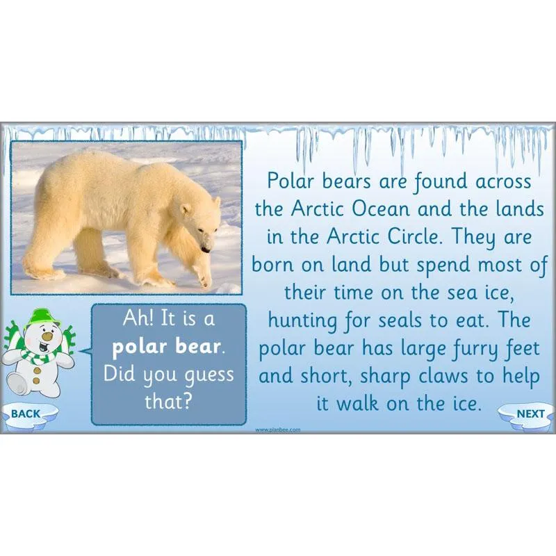 Arctic Adventures Topic