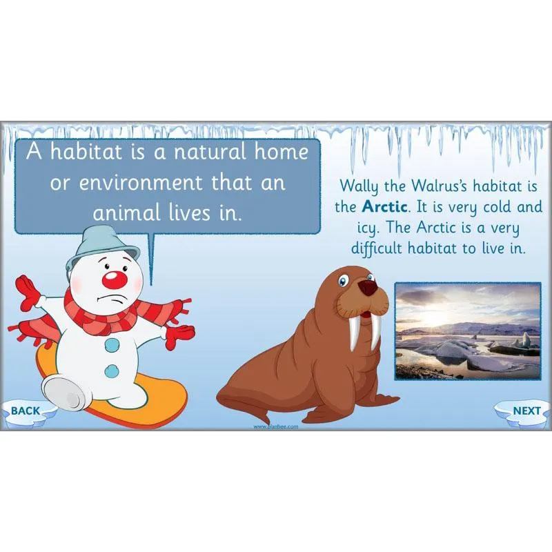 Arctic Adventures Topic