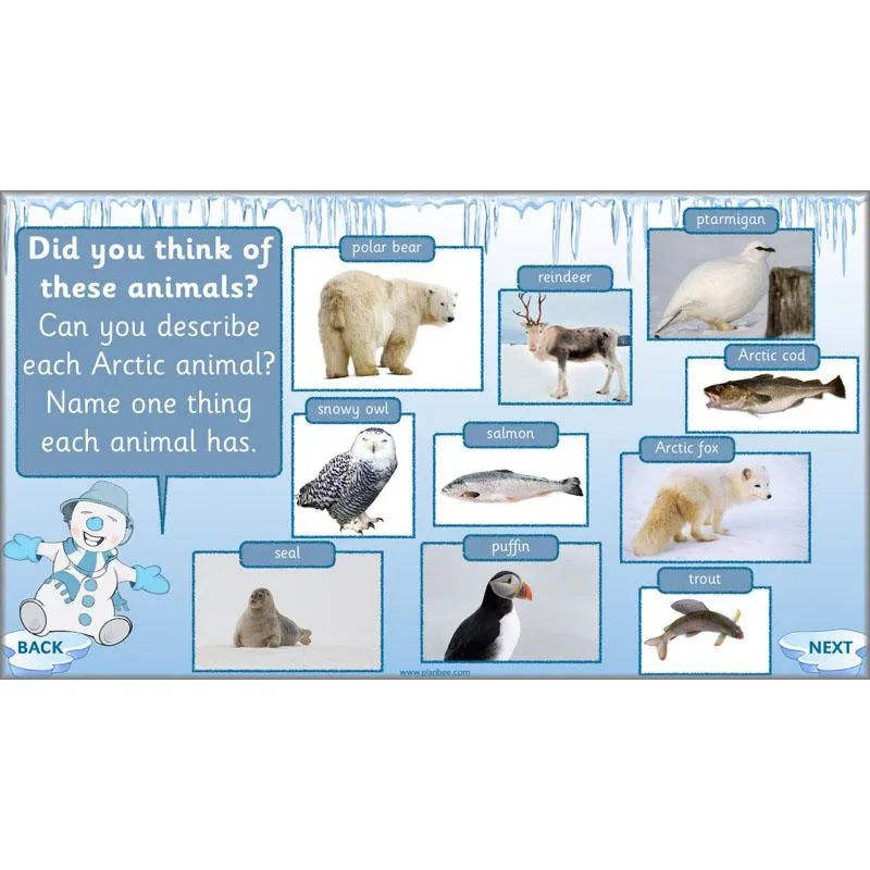 Arctic Adventures Topic