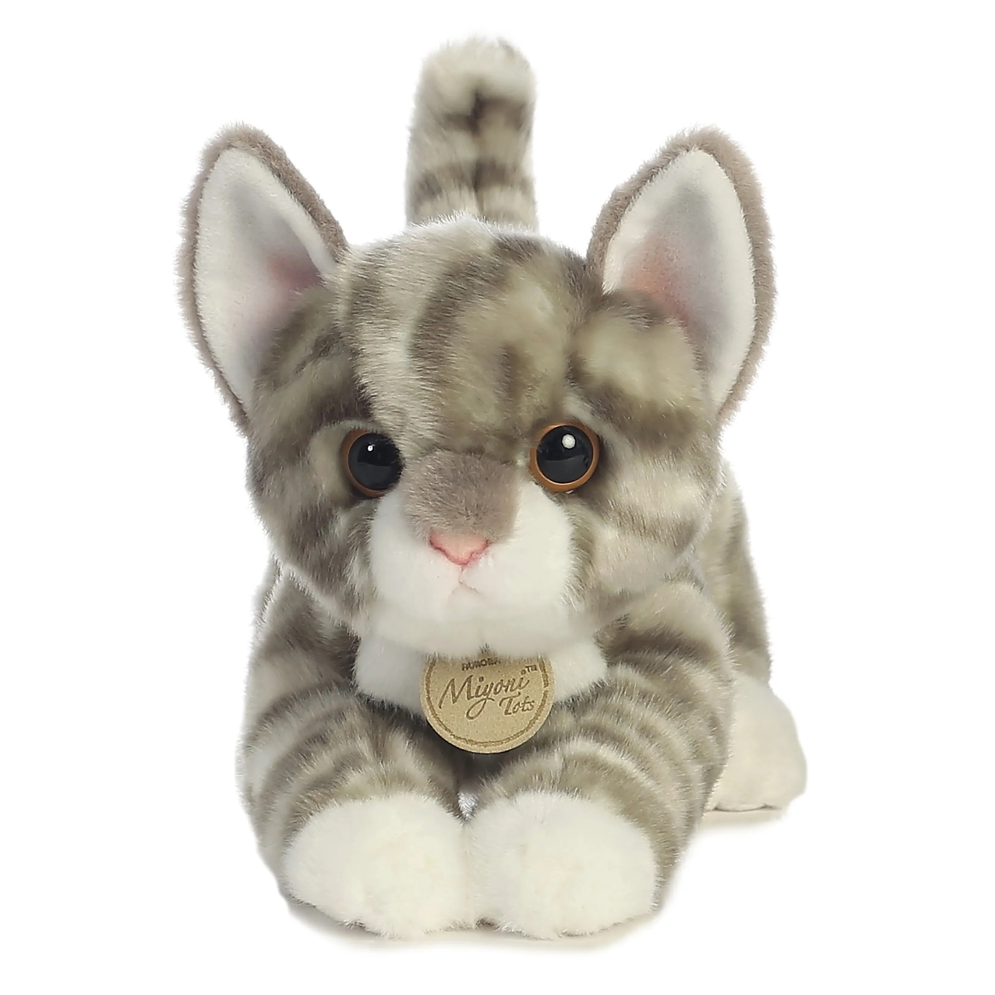 Aurora Miyoni Grey Tabby Kitten