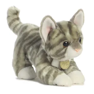 Aurora Miyoni Grey Tabby Kitten