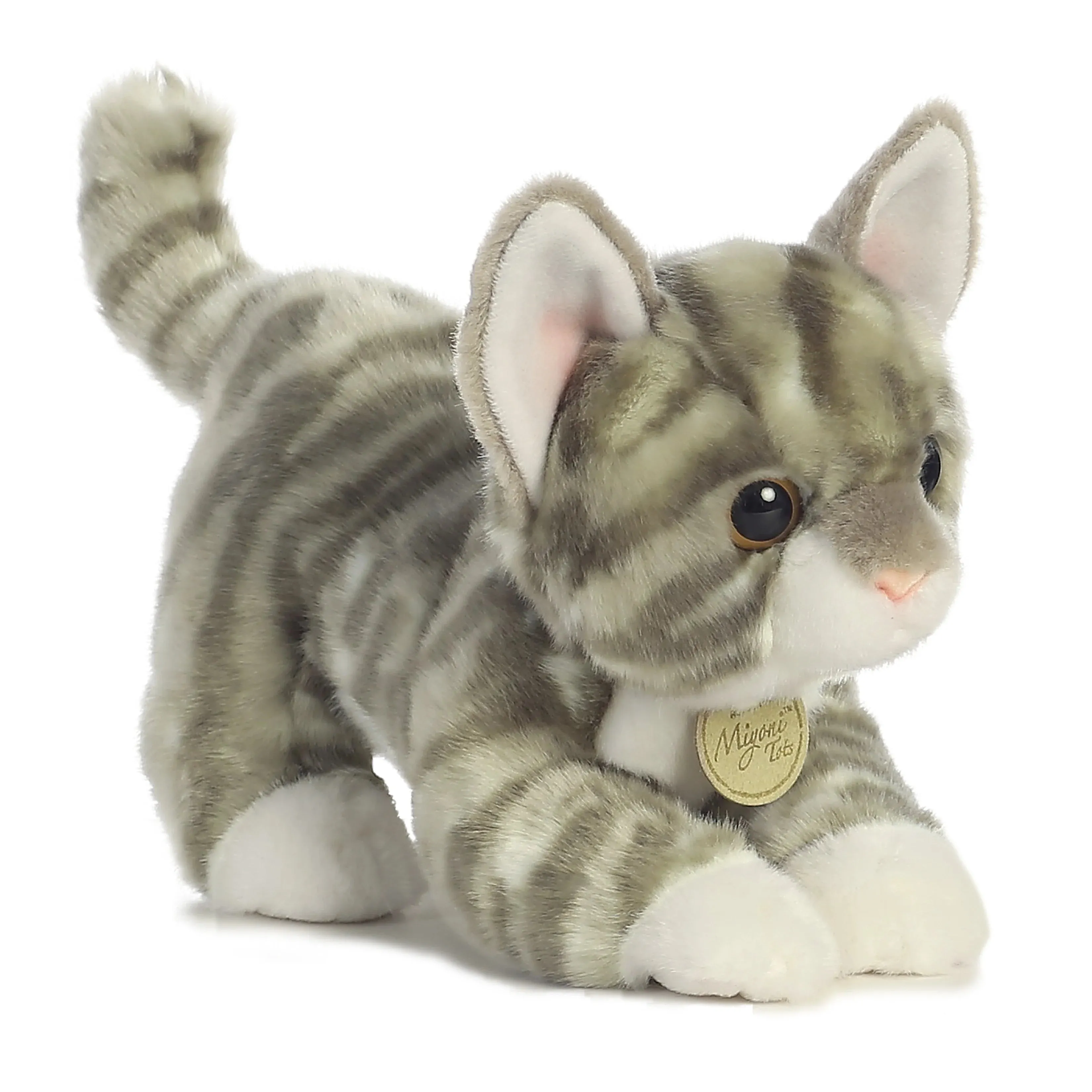 Aurora Miyoni Grey Tabby Kitten
