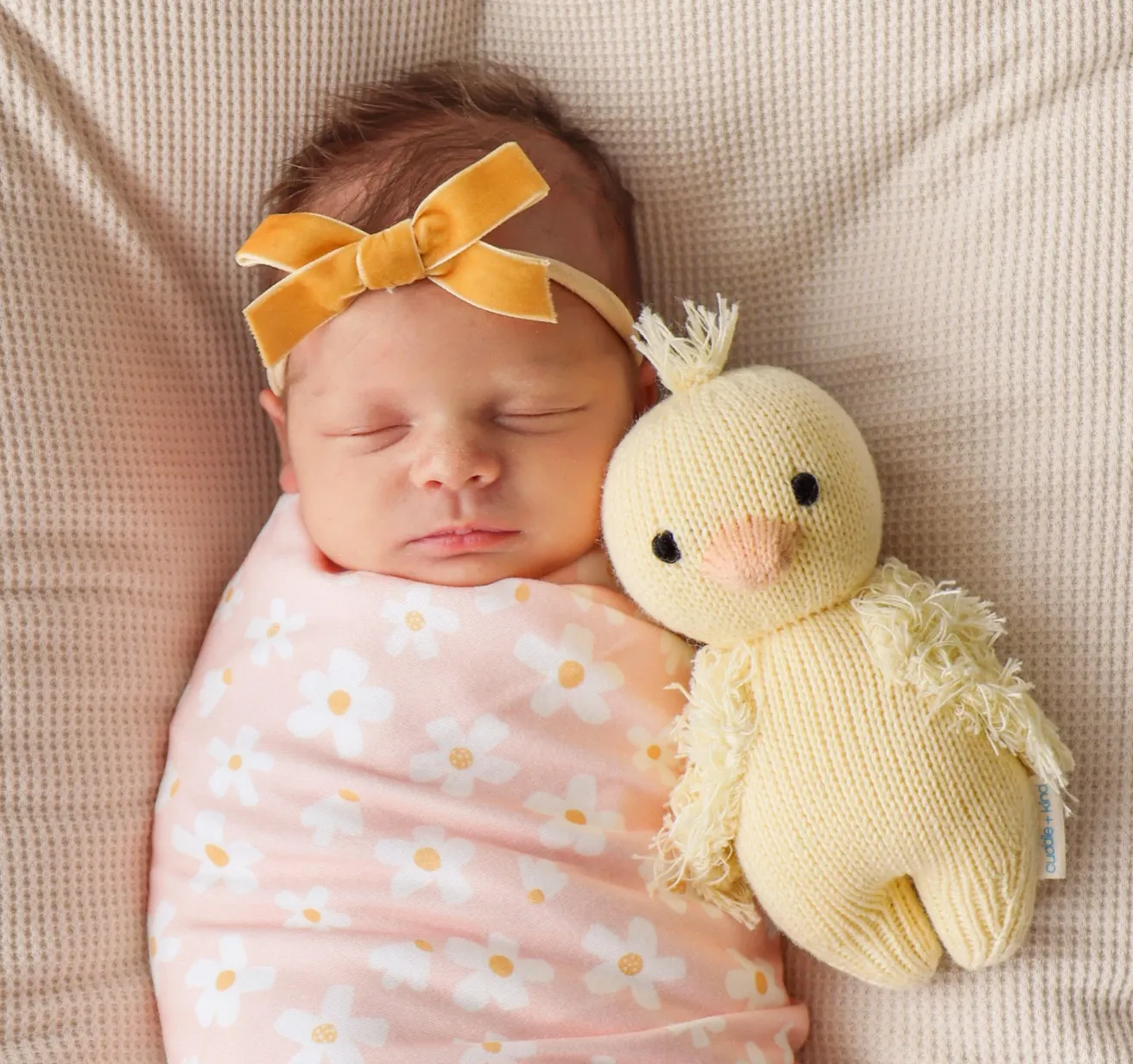 Baby Duckling