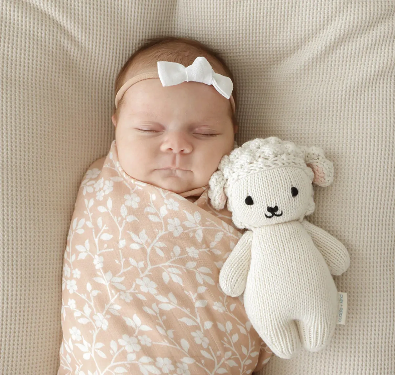 Baby Lamb