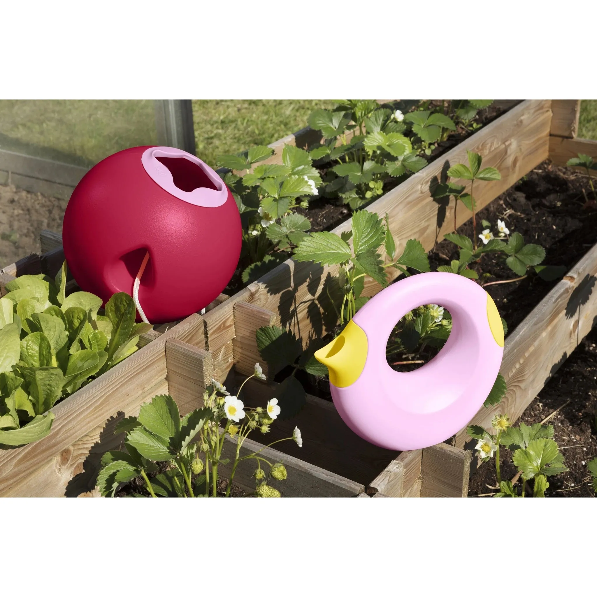 Ballo (Cherry red   Sweet pink)