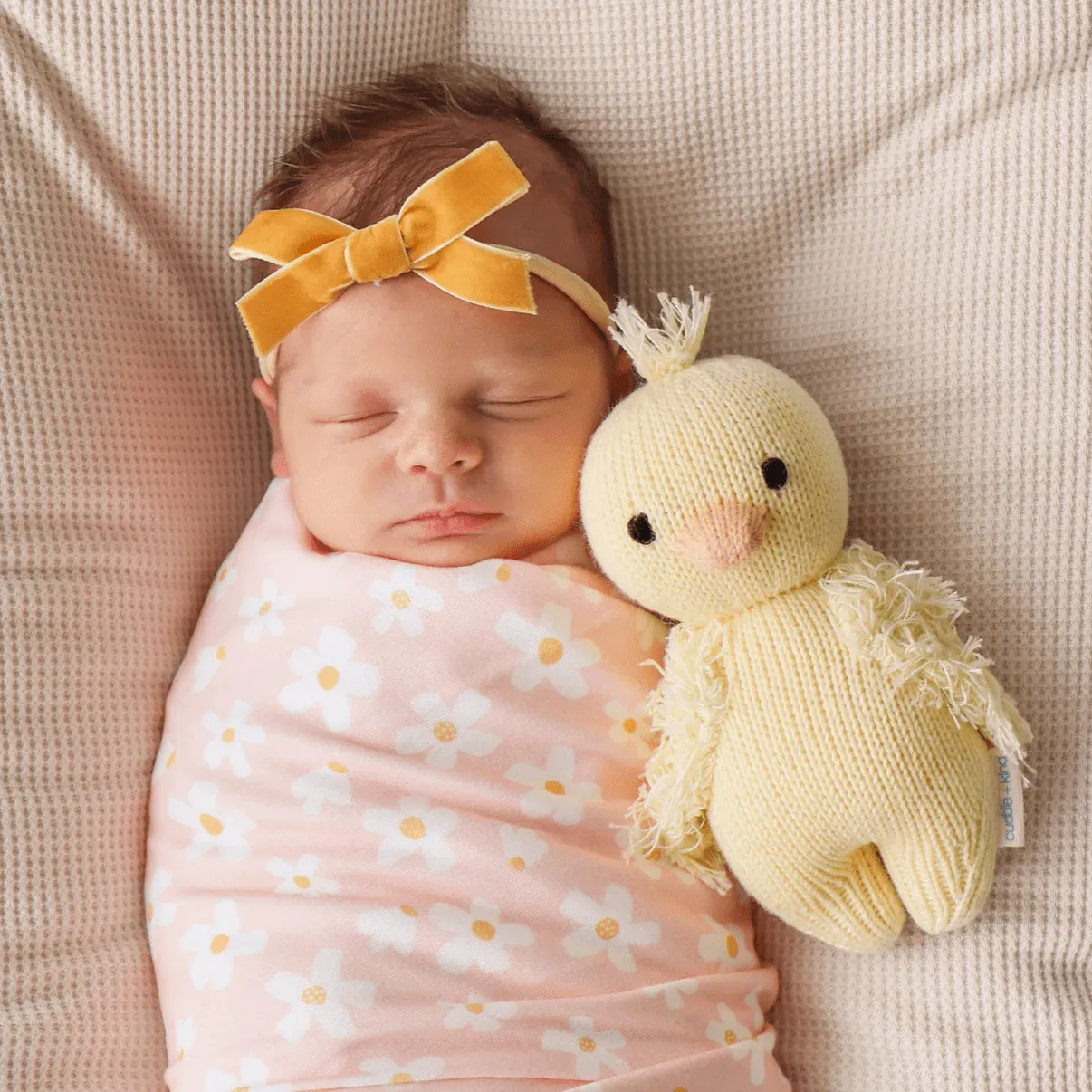 cuddle kind Baby duckling