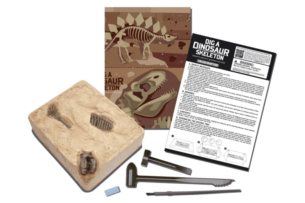 Dig a Dino Skeleton - Velociraptor