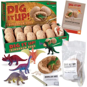 Dig It Up! Dinosaur Eggs Excavation Kit