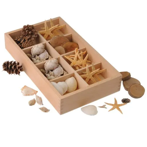Nature Exploration Set