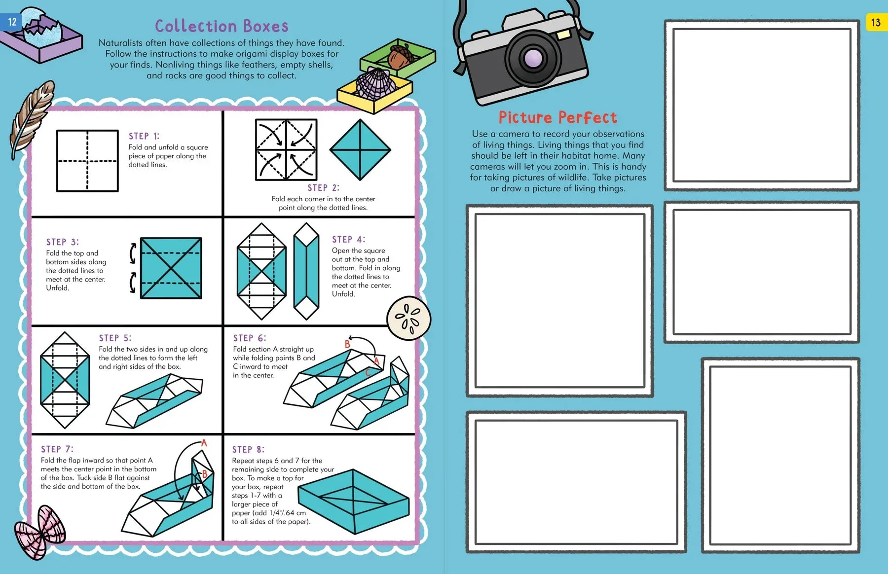 Nature Explorer's Activity Book