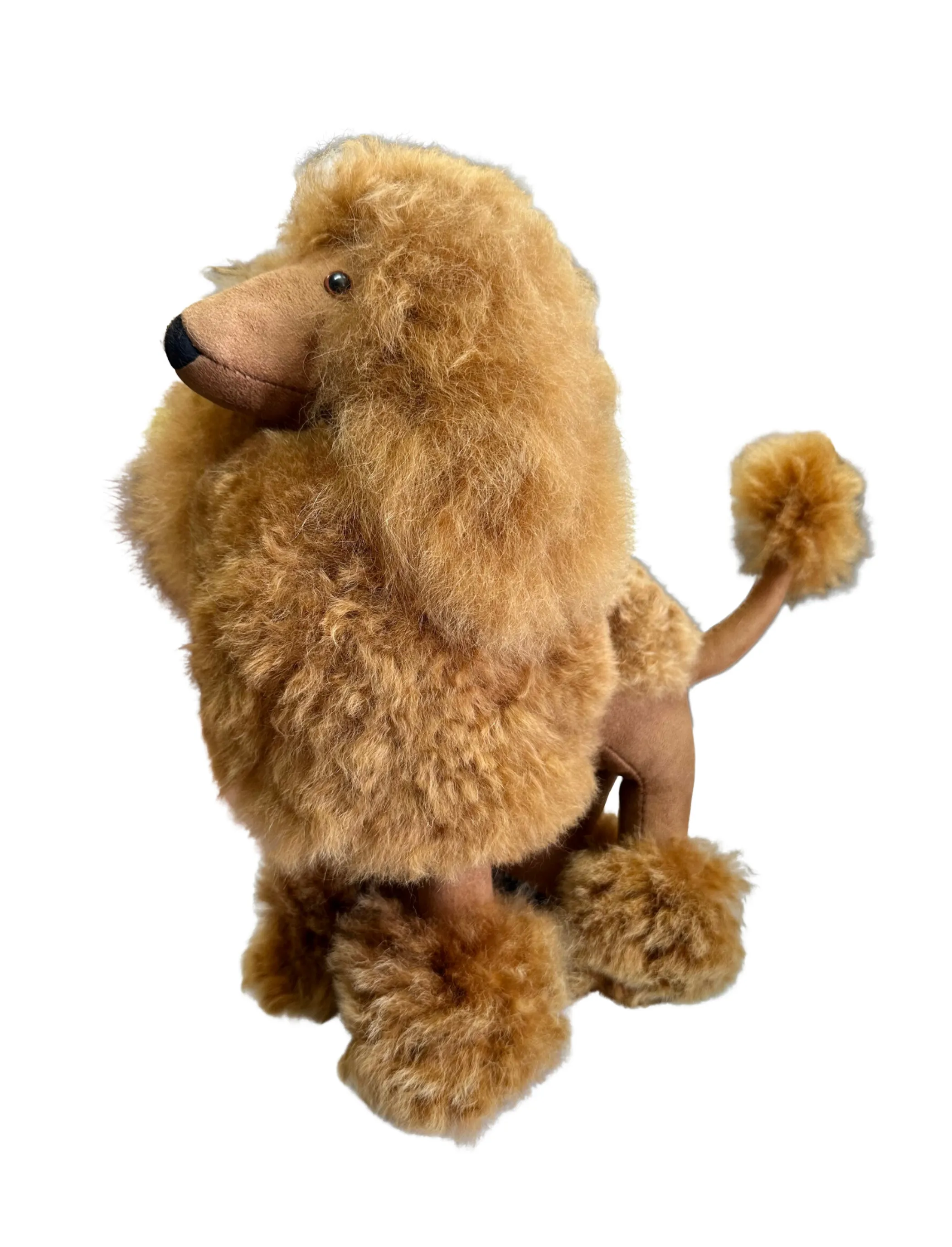 Poodle