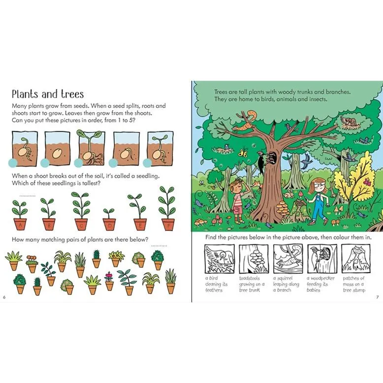 Usborne little children’s nature activity book
