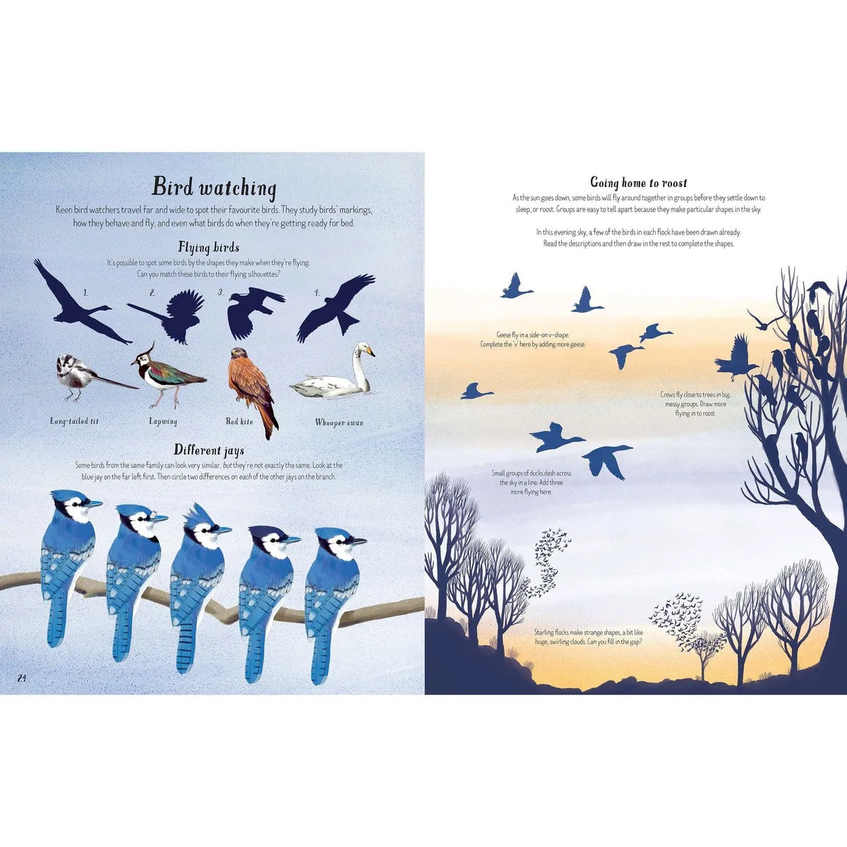 Usborne nature activity book