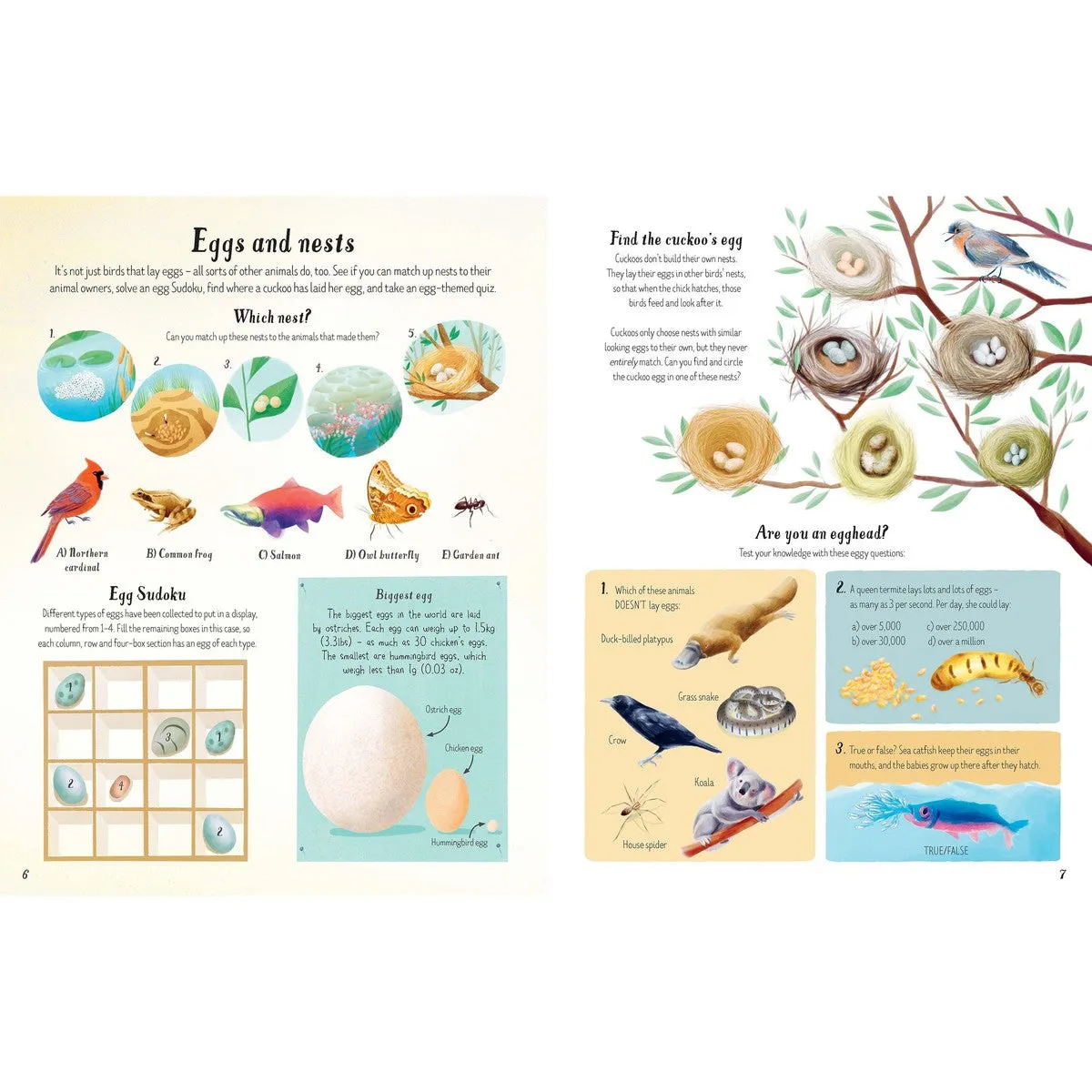 Usborne nature activity book