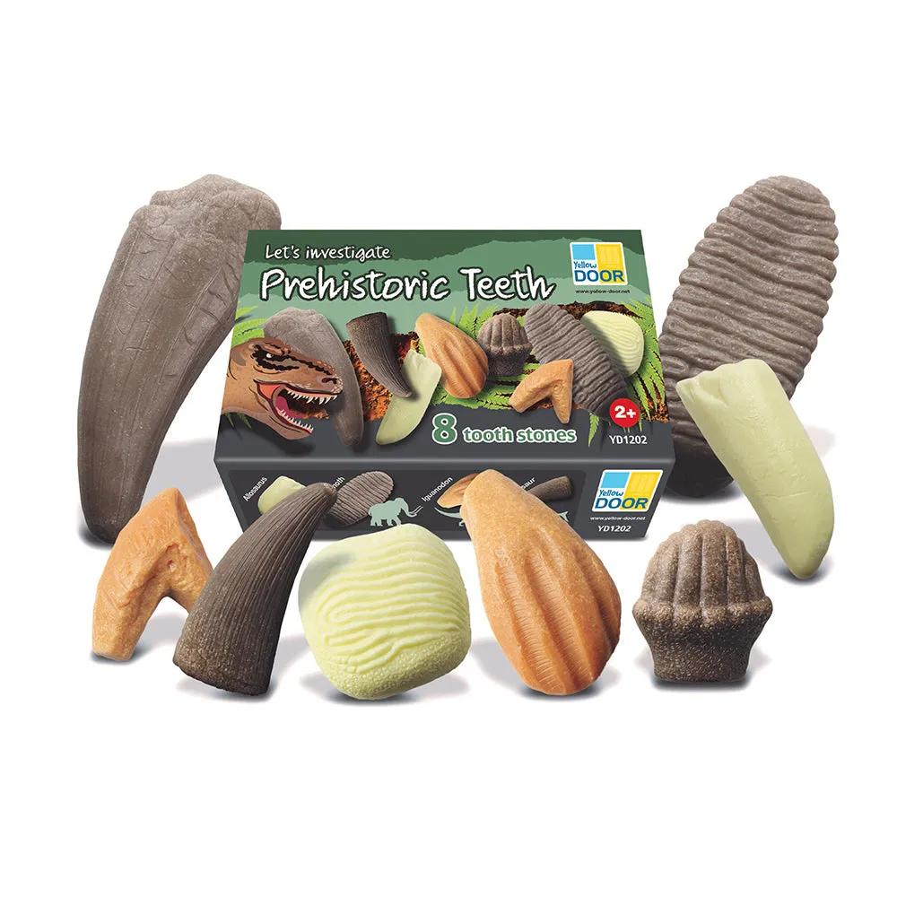 Yellow Door® Let's Investigate - Prehistoric Teeth